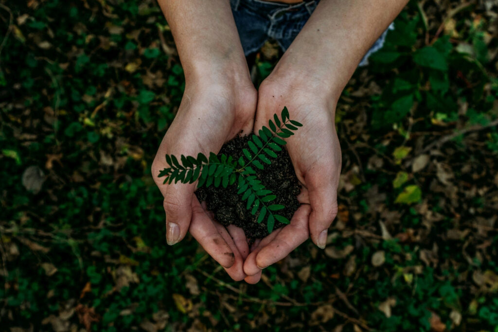 natur hand unsplash (1)